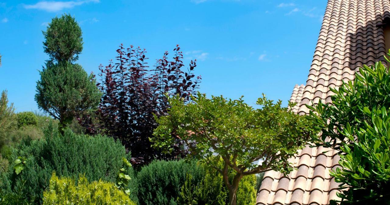 Apartament Les Tonyines Llança Esterno foto